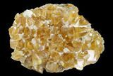 Lustrous, Yellow Calcite Crystal Cluster - Fluorescent! #142370-1